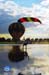 AZX_Competition_17